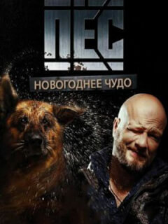 Никита Панфилов, Андрей Саминин, Михаил Жонин, Георгий