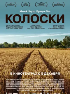 Мацей Штур, Ирениуш Чоп, Збигнев Замаховский, Данута