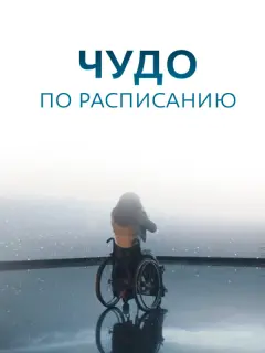 Сергей Стрельников, Екатерина Молчанова, Денис Мартынов,